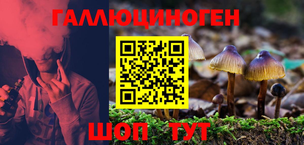 Рассказово  Галлюциногенные грибы Psilocybine cubensis  Вход с VPN 